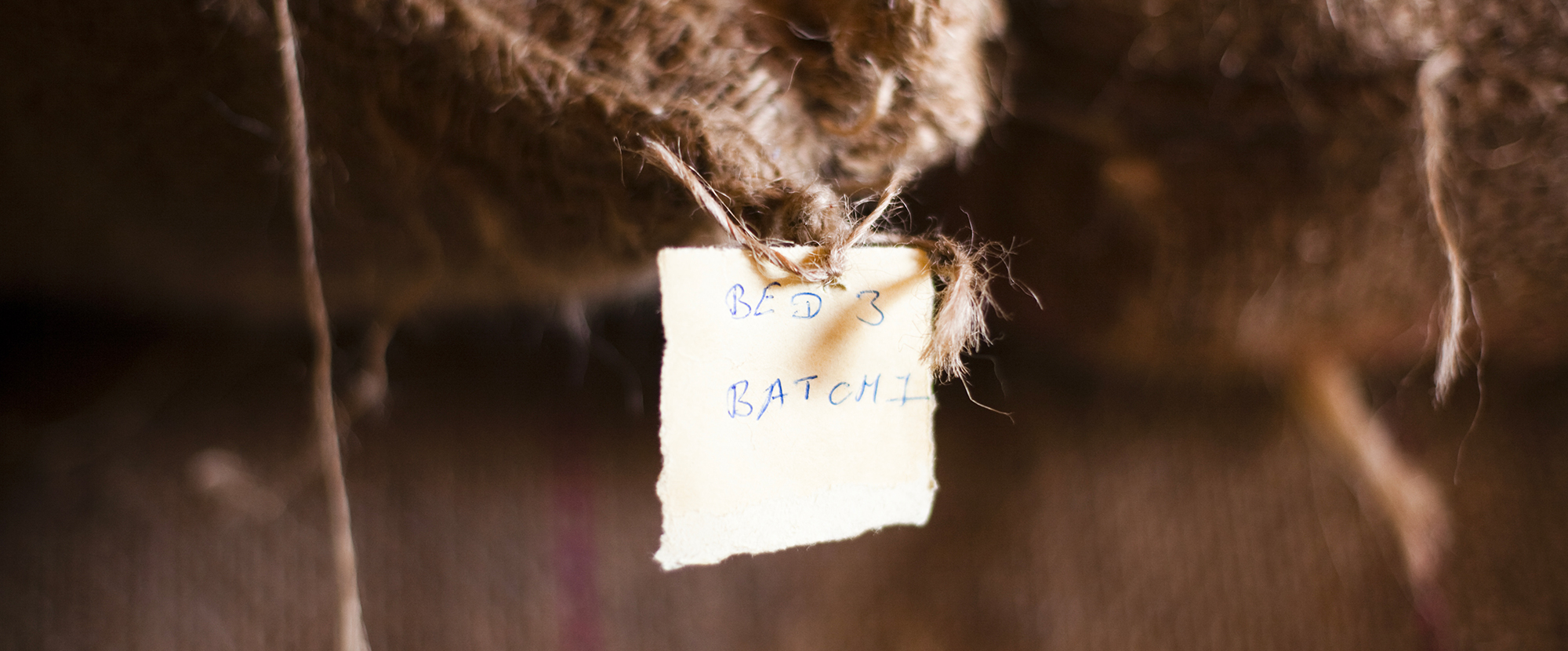 caffè, mokasirs, moca, torrefazione, pavia, grani, capsule, cialde, espresso, bar, latte art, training, macinato, solubile