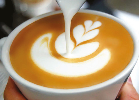 caffè, mokasirs, moca, torrefazione, pavia, grani, capsule, cialde, espresso, bar, latte art, training, macinato, solubile